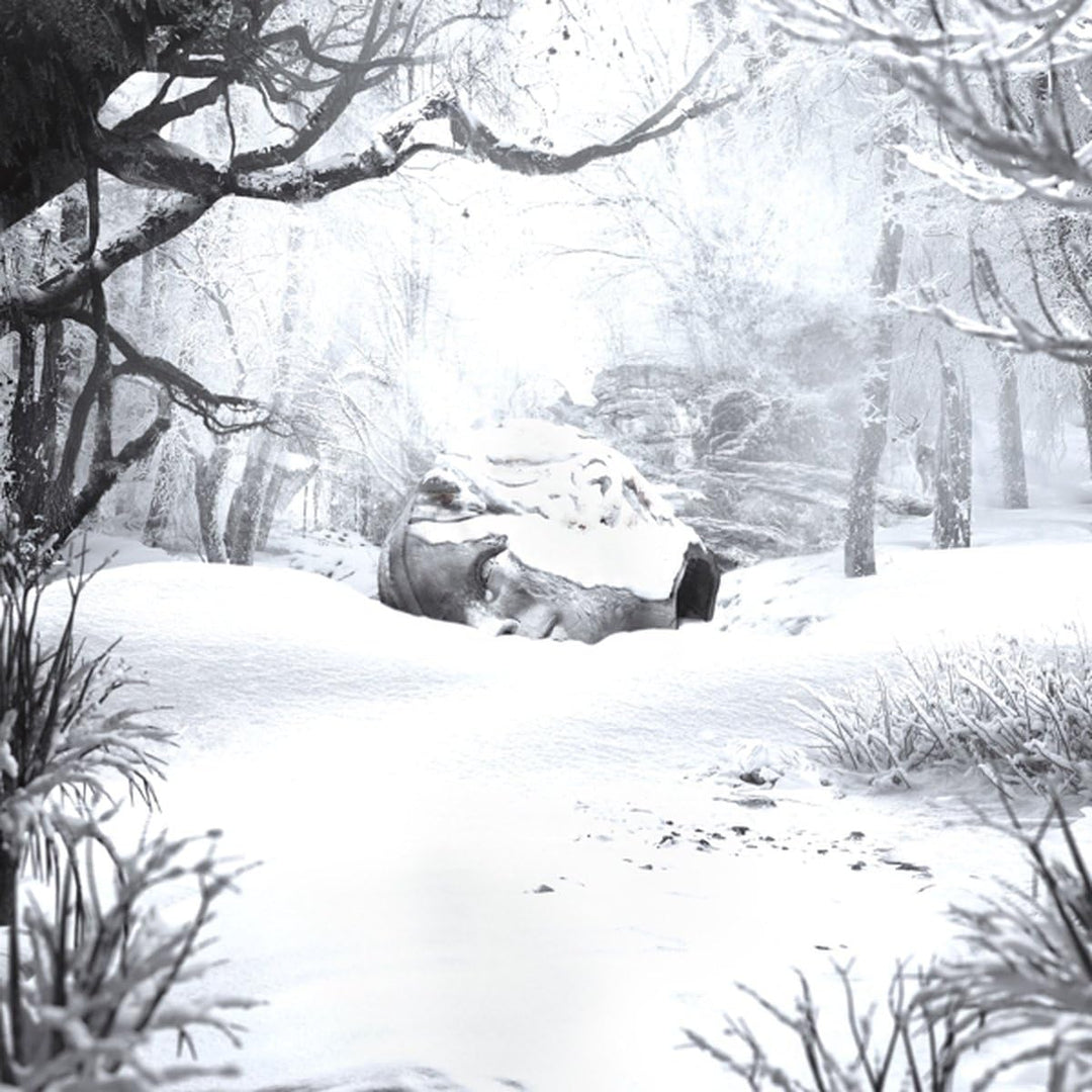 Sznz: Winter, Vinyl