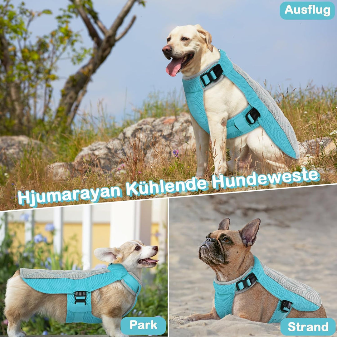 Kühlweste für Hunde, Kühlweste Hund mit D-Ringe Sommer Kühlmantel für Hunde Kühlgeschirr Atmungsakti