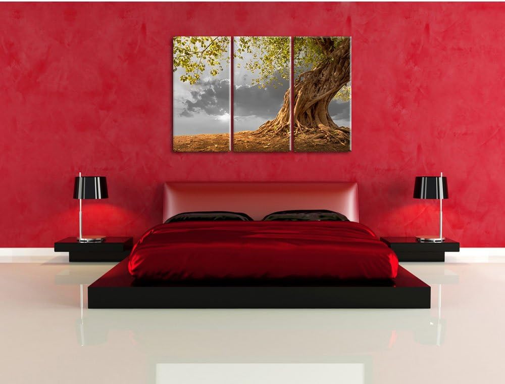 Pixxprint Baum als Leinwandbild/Grösse: 3 Teilig (120x80 cm) cm/Wandbild/Kunstdruck/fertig bespannt