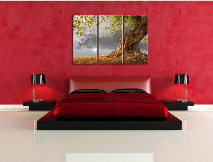 Pixxprint Baum als Leinwandbild/Grösse: 3 Teilig (120x80 cm) cm/Wandbild/Kunstdruck/fertig bespannt