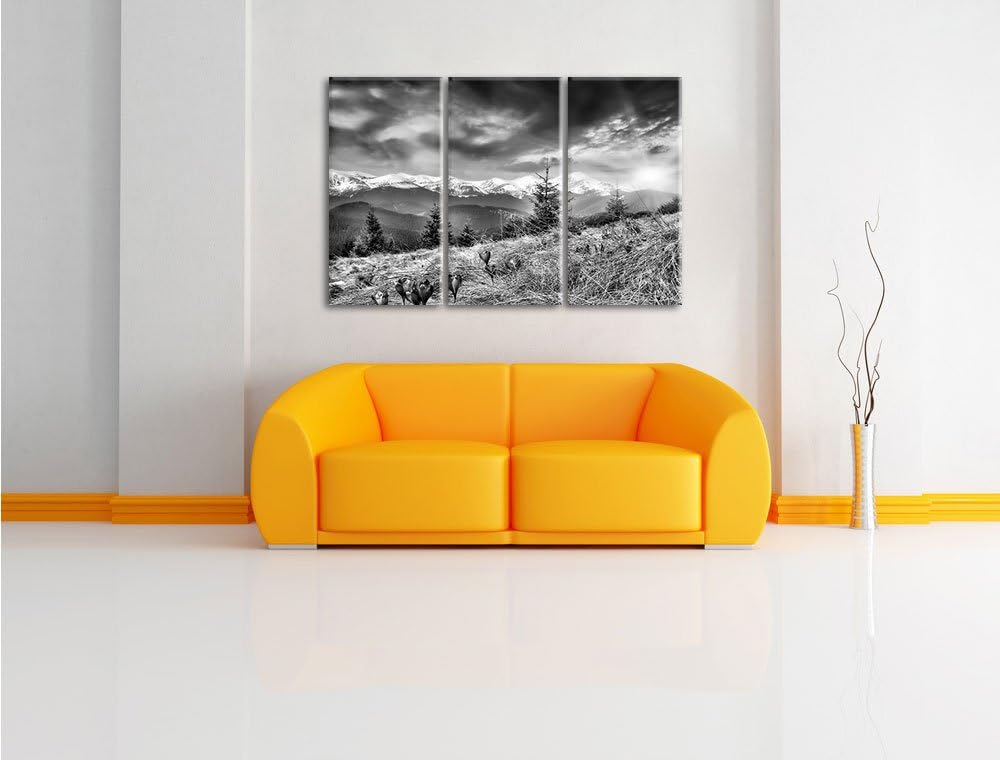 Pixxprint Monocrome, Krokusse auf Hochalmwiese in Alpen 3-Teiler Leinwandbild 120x80 Bild auf Leinwa