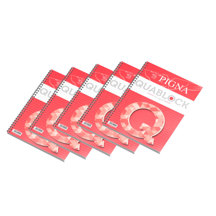 Pigna 02000011r Notizblock
