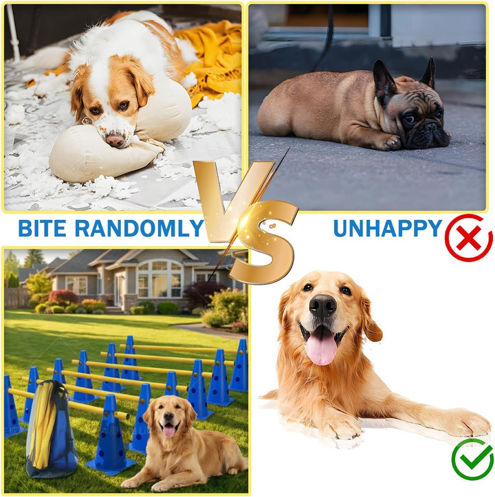6er Sports Steckhürdenset Cavaletti Agility Set Hunde Hürden Steckhürdenset 12 Kegel 32cm + 6 Stange