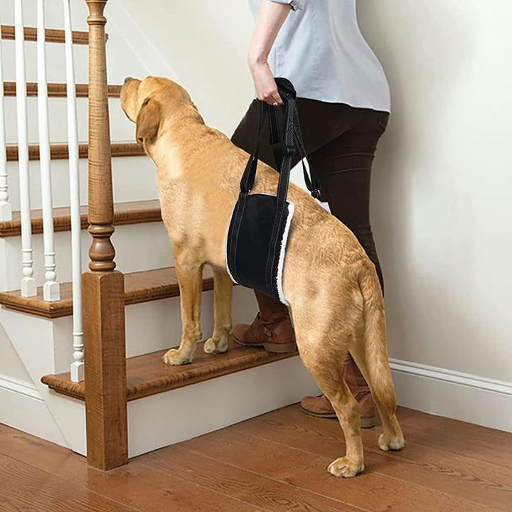 Tragehilfe Hund, Einstellbare Hunde Tragehilfe für die Unterstützung Von Behinderten und Älteren Hun
