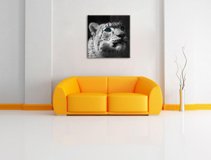 Pixxprint Schneeleopard Augen als Leinwandbild Quadratisch/Grösse: 70x70 / Wandbild/Kunstdruck/ferti
