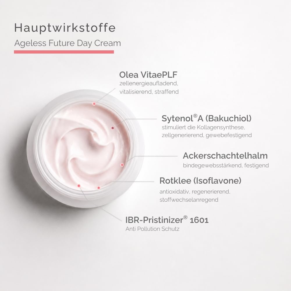 SCHRAMMEK Ageless Future Day Cream, 1 x 50 ml