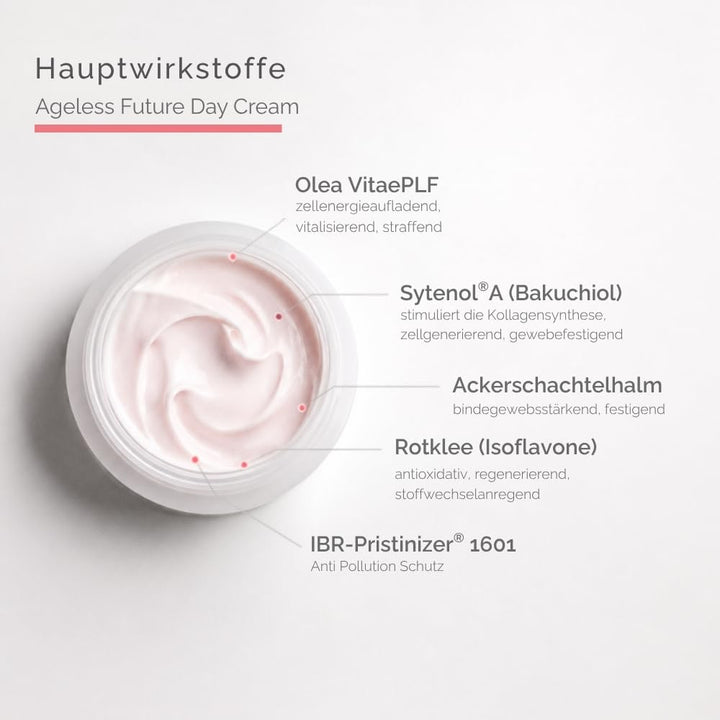 SCHRAMMEK Ageless Future Day Cream, 1 x 50 ml
