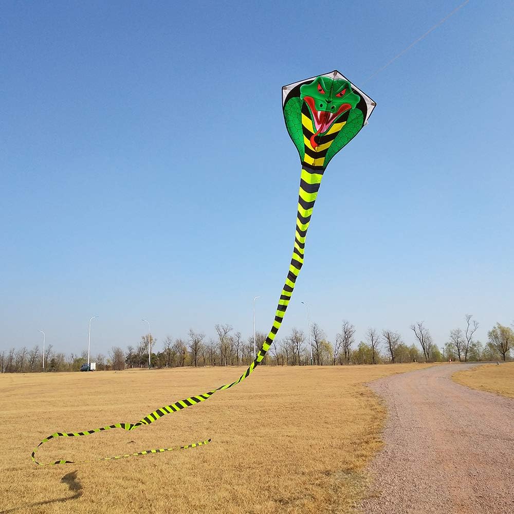 Mint's Colorful Life 49ft Gross Drachen für Kinder und Erwachsene Drachen einleiner,Kobra-Drachen mi