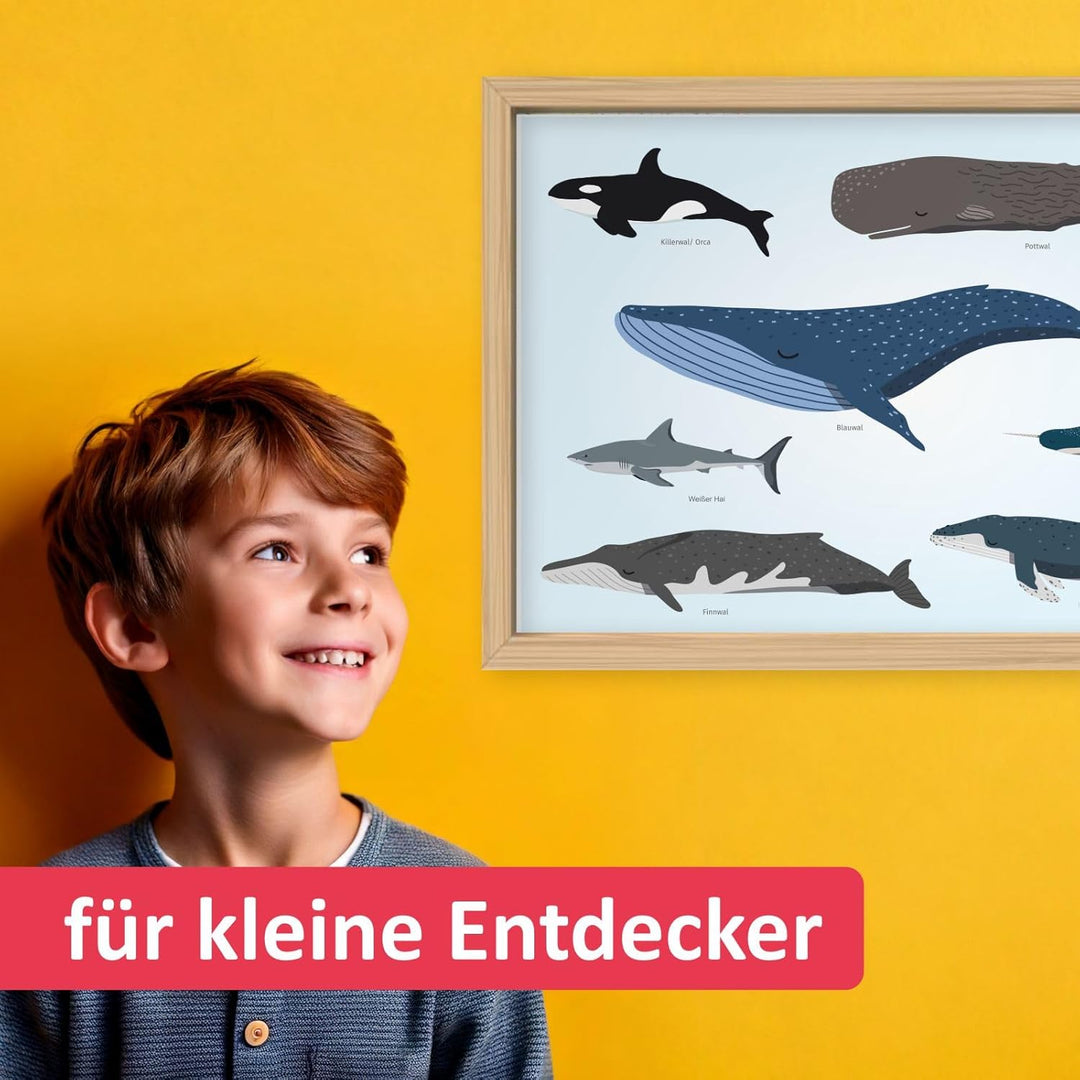 Kinder Lernposter - Tiere der Meere - Wal Delfin Orca Hai - in 3 Grössen - Wanddeko Kinderzimmer Pos