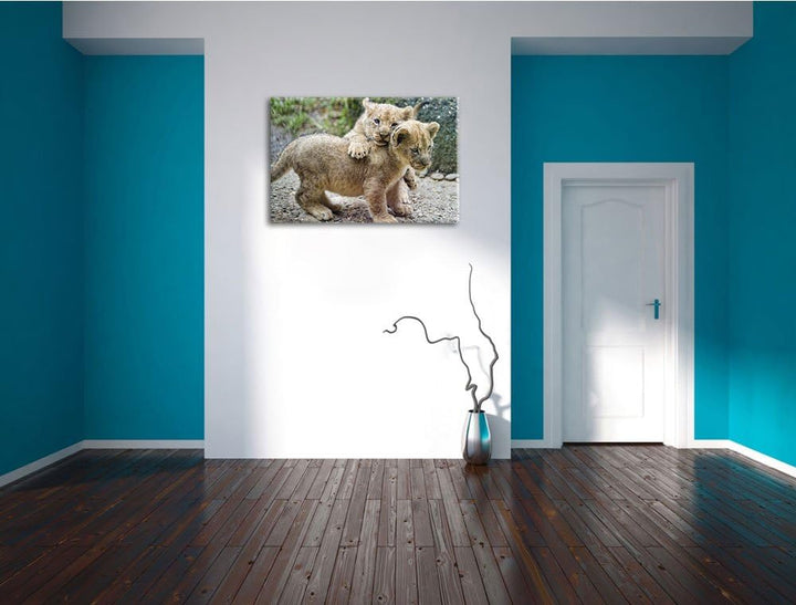 Pixxprint spielende Löwenjunge auf Leinwand, XXL riesige Bilder fertig gerahmt mit Keilrahmen, Kunst