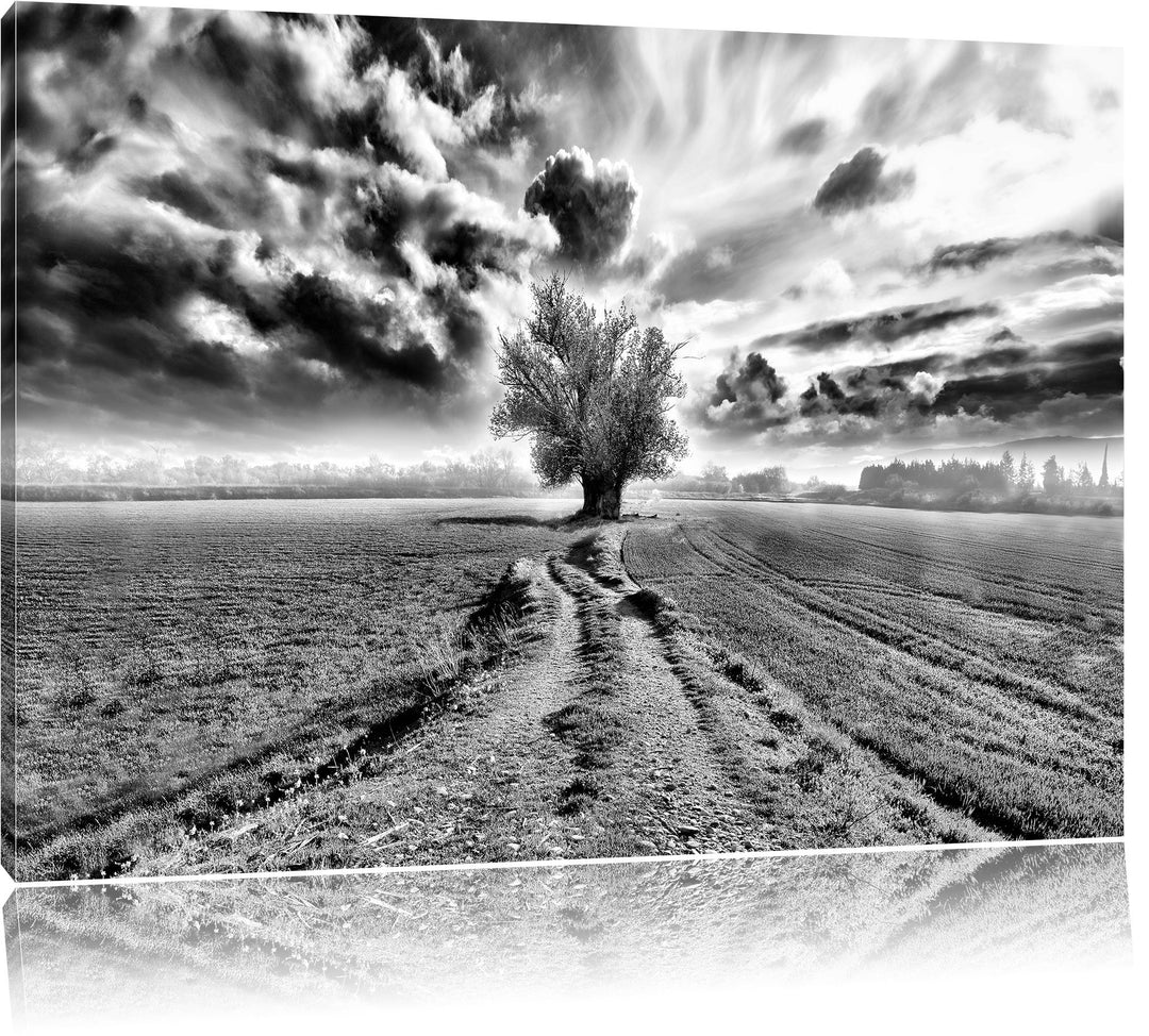 Pixxprint Monocrome, Pinkes Feld mit pinkem Baum, Format: 100x70 auf Leinwand, 100x70