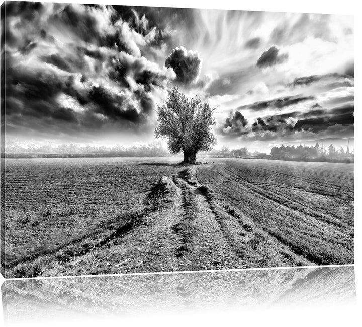 Pixxprint Monocrome, Pinkes Feld mit pinkem Baum, Format: 100x70 auf Leinwand, 100x70