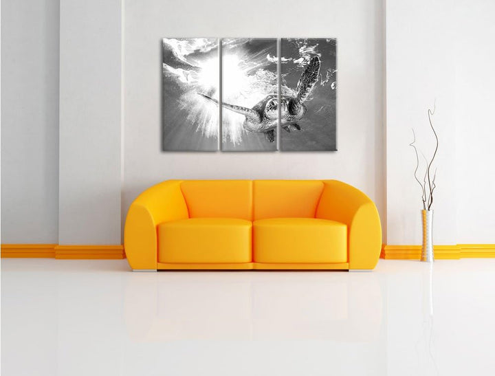 Pixxprint Grüne Meeresschildkröte Kunst B&W als Leinwandbild/Grösse: 3Teilig (120x80) / Wandbild/Kun