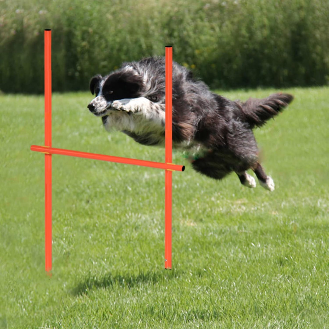 SUBTLETY Agility Ausrüstung für Hunde Gross Klein Hundetraining Spiele Agility Set mit Hundetunnel,