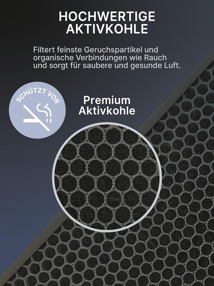 Comedes Ersatzfilterset passend für Philips AC1214/10 und AC2729/10 Luftreiniger (Series 1000) | HEP