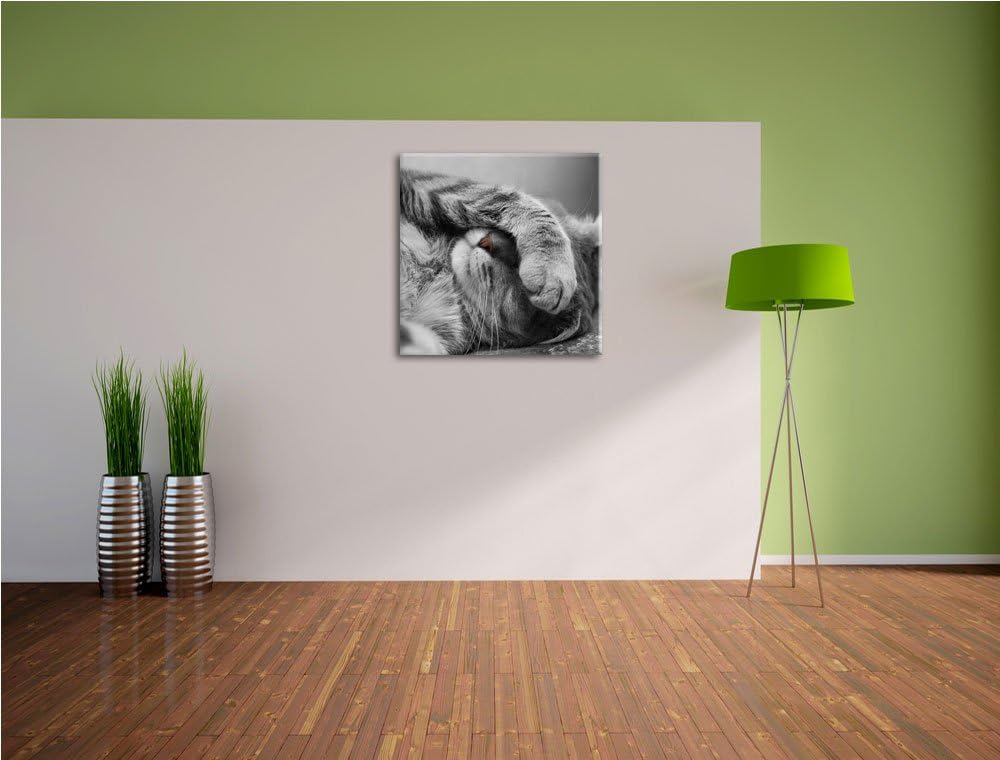 Pixxprint niedliche Katze beim schlafen/Format: 70x70cm / Leinwandbild fertig bespannt Wandbild Kuns