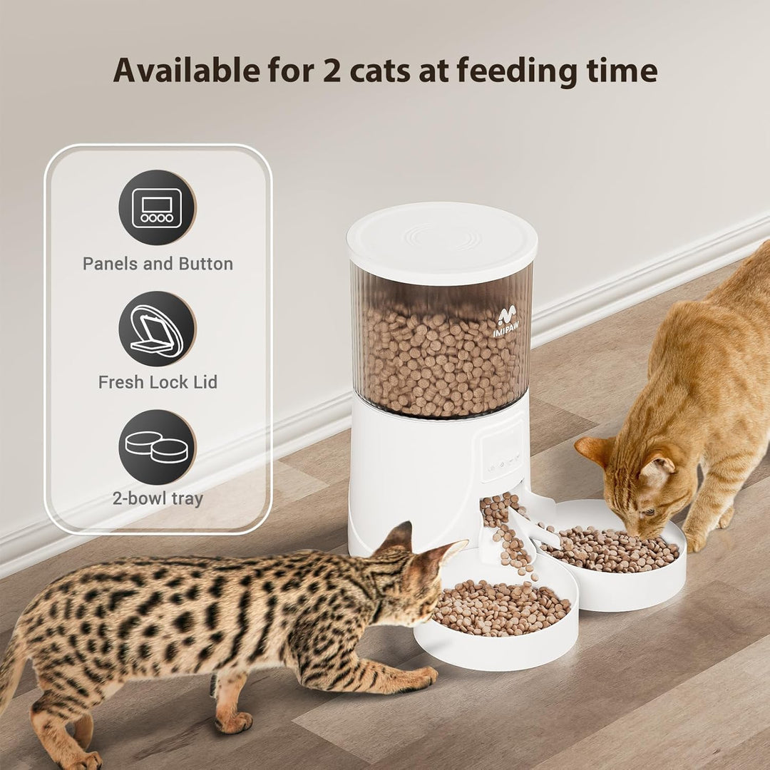IMIPAW Futterautomat Katze WiFi 2.4G: APP-Steuerung Trockenfutterspender für 2 Kleine Hunde und Katz