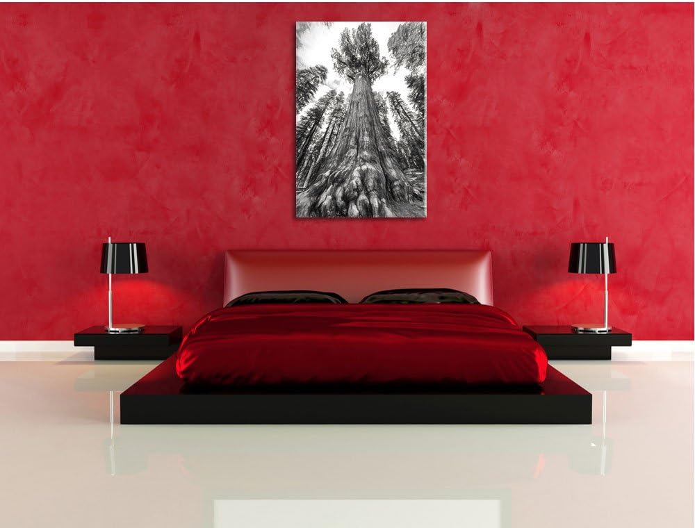 Pixxprint Mammutbaum im Regenwald Kohle Effekt, Format: 100x70 auf Leinwand, 100x70