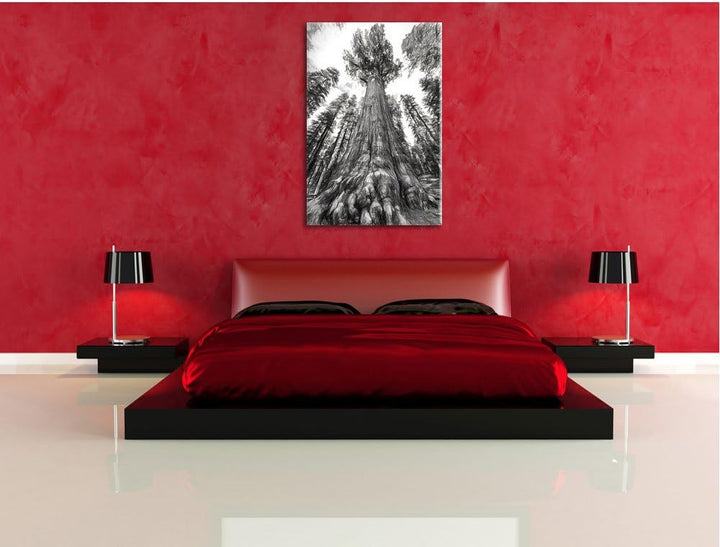 Pixxprint Mammutbaum im Regenwald Kohle Effekt, Format: 100x70 auf Leinwand, 100x70