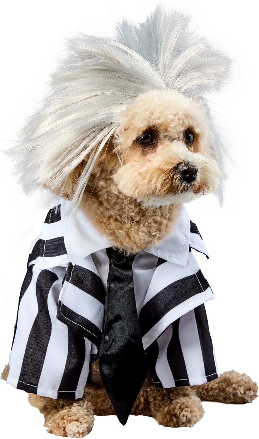 Rubie‘s Official Beetlejuice-Kostüm für Hunde, Grösse XL Schwarz XL, Schwarz XL