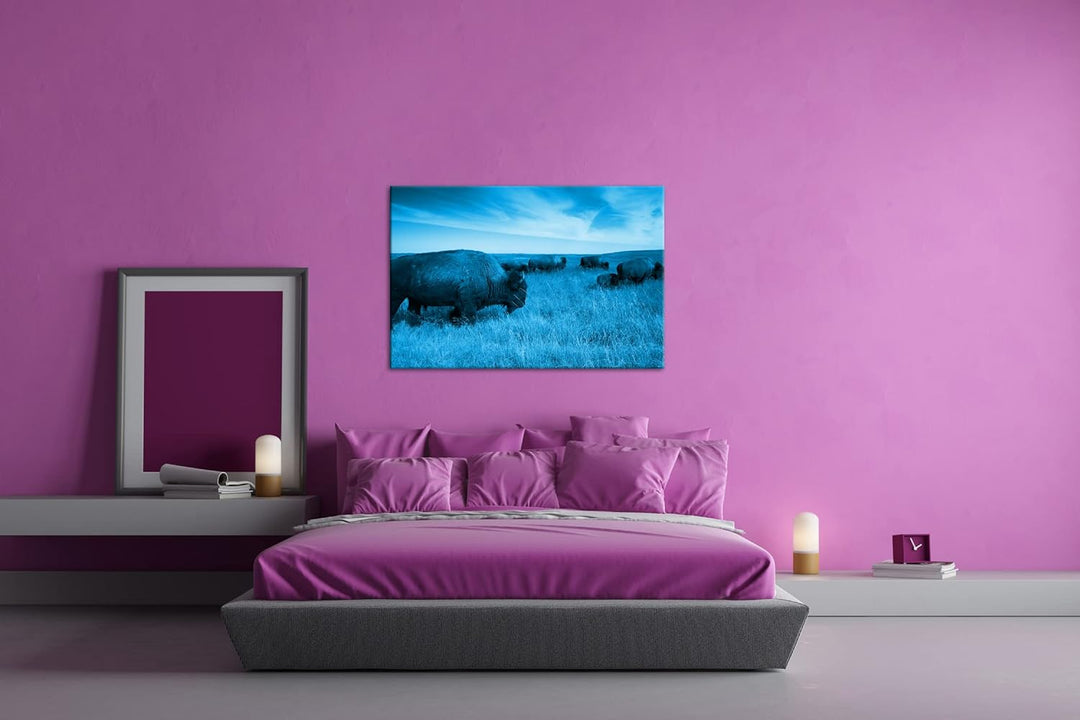 Bison Herde in der Steppe Format 80x60 Effekt: Monocrome Blau als Leinwandbild, Motiv fertig gerahmt