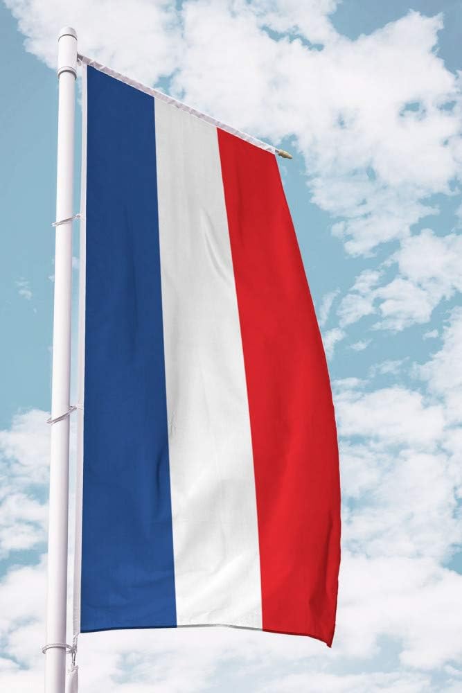 Deitert Bundesland-Flagge Schleswig-Holstein – 150x600 cm Schleswig-Holstein Flagge ohne Wappen, Fah