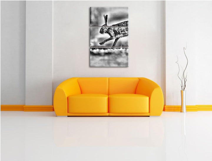 Pixxprint Hüpfender Hase als Leinwandbild/Grösse: 3 Teilig (120x80) cm/Wandbild/Kunstdruck/fertig be