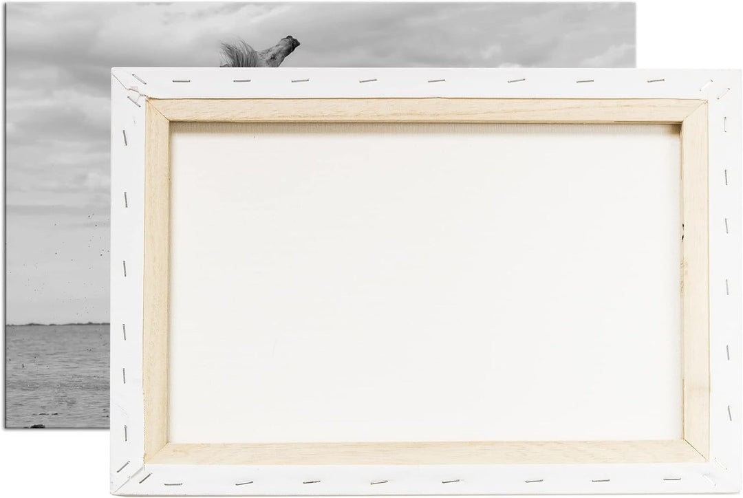 deyoli Schwarz Weiss kämpfende Pferde Format: 100x70 als Leinwandbild, Motiv fertig gerahmt auf Echt