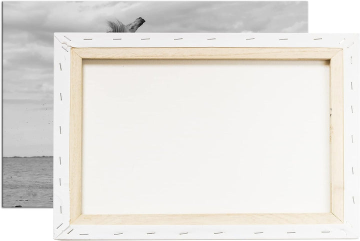 deyoli Schwarz Weiss kämpfende Pferde Format: 100x70 als Leinwandbild, Motiv fertig gerahmt auf Echt