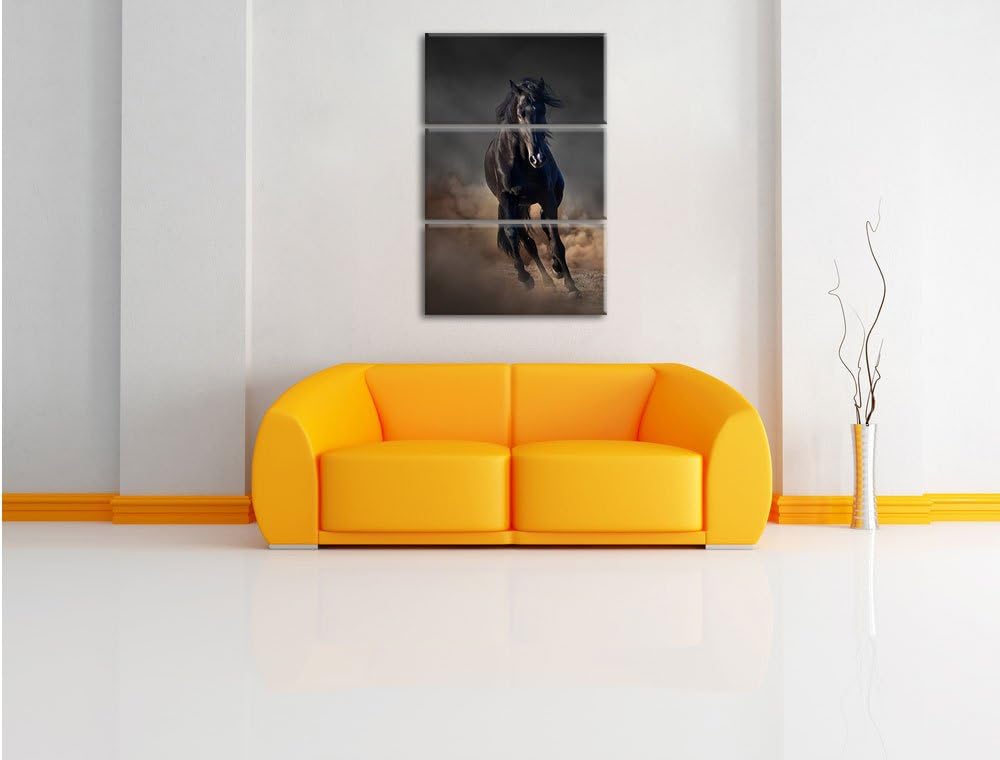 Pixxprint Elegantes schwarzes Pferd Schwarz/Weiss 3-Teiler Leinwandbild 120x80 Bild auf Leinwand