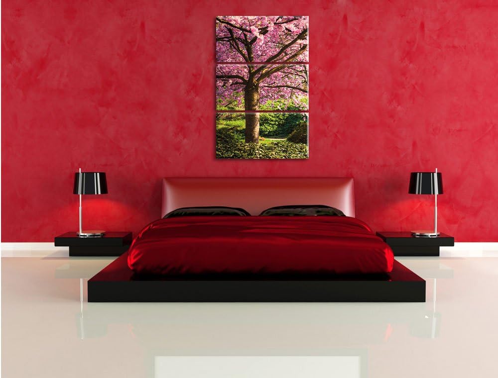 Pixxprint Rosa blühende Kirschbäume als Leinwandbild/Grösse: 3 Teilig (120x80) cm/Wandbild/Kunstdruc