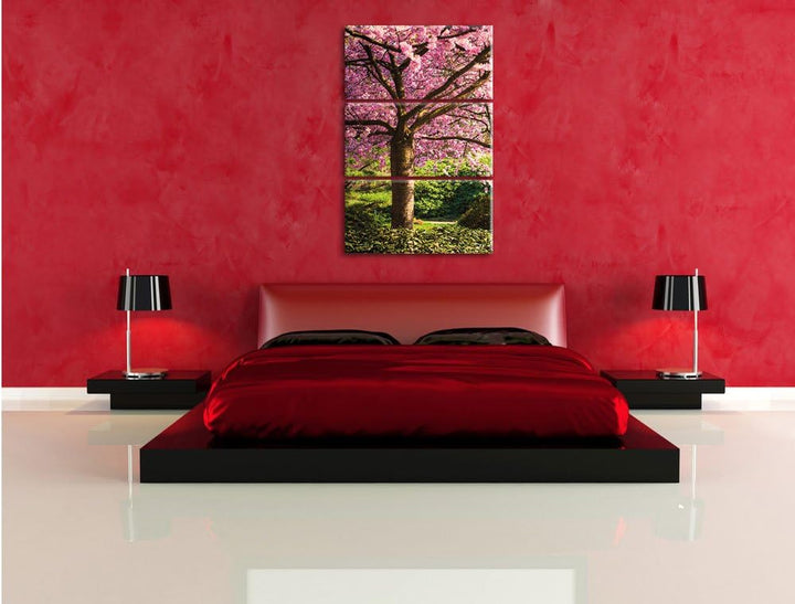 Pixxprint Rosa blühende Kirschbäume als Leinwandbild/Grösse: 3 Teilig (120x80) cm/Wandbild/Kunstdruc