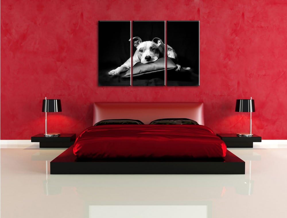 Pixxprint Monocrome, Dark Süsser American Staffordshire 3-Teiler Leinwandbild 120x80 Bild auf Leinwa
