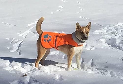 SafetyPUP XD Hund Warnweste, Grössen passen Hunde 14 lbs bis 130 lbs Orange Mittel, Orange Mittel