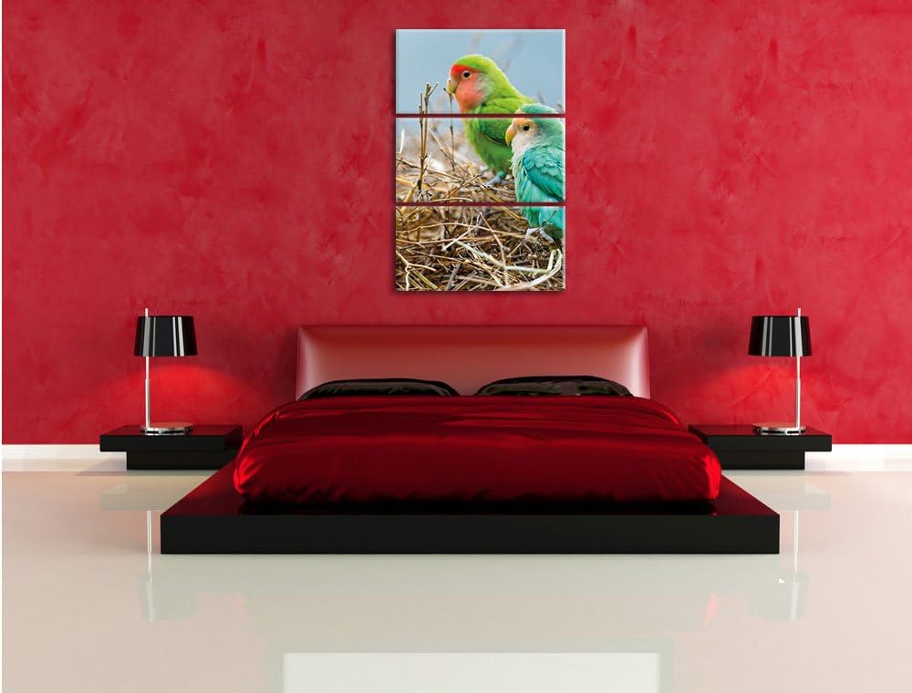Papageien im Nest 3-Teiler Leinwandbild 120x80 Bild auf Leinwand, riesige Bilder fertig gerahmt mit