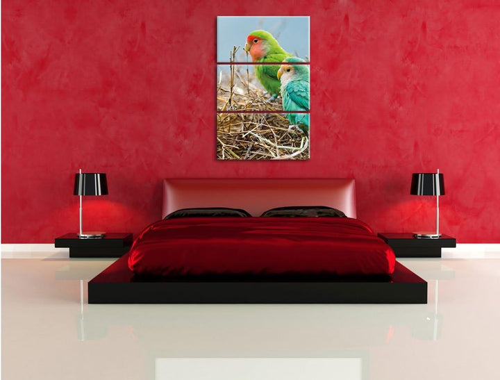 Papageien im Nest 3-Teiler Leinwandbild 120x80 Bild auf Leinwand, riesige Bilder fertig gerahmt mit