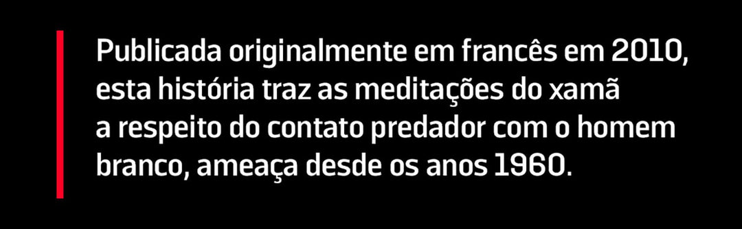 A Queda do Céu (Em Portuguese do Brasil)