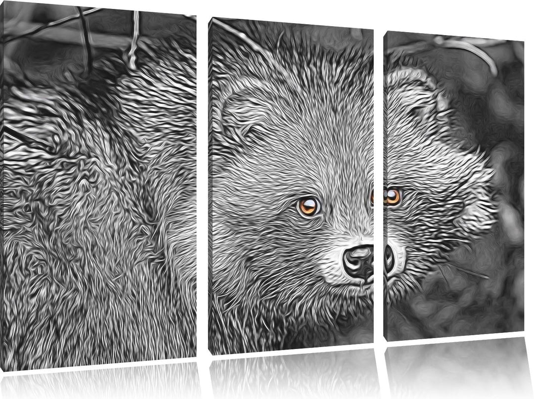 scheuer Waschbär schwarz/weiss Deluxe 3-Teiler Leinwandbild 120x80 Bild auf Leinwand, XXL riesige Bi
