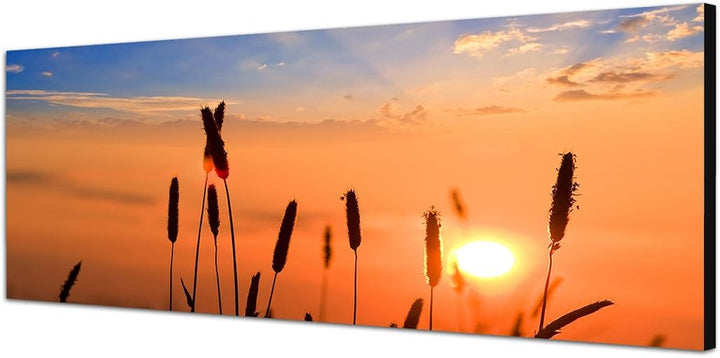 Paul Sinus Art Panoramabild auf Leinwand und Keilrahmen 150x50cm Getreide Feld Sommer Sonnenuntergan