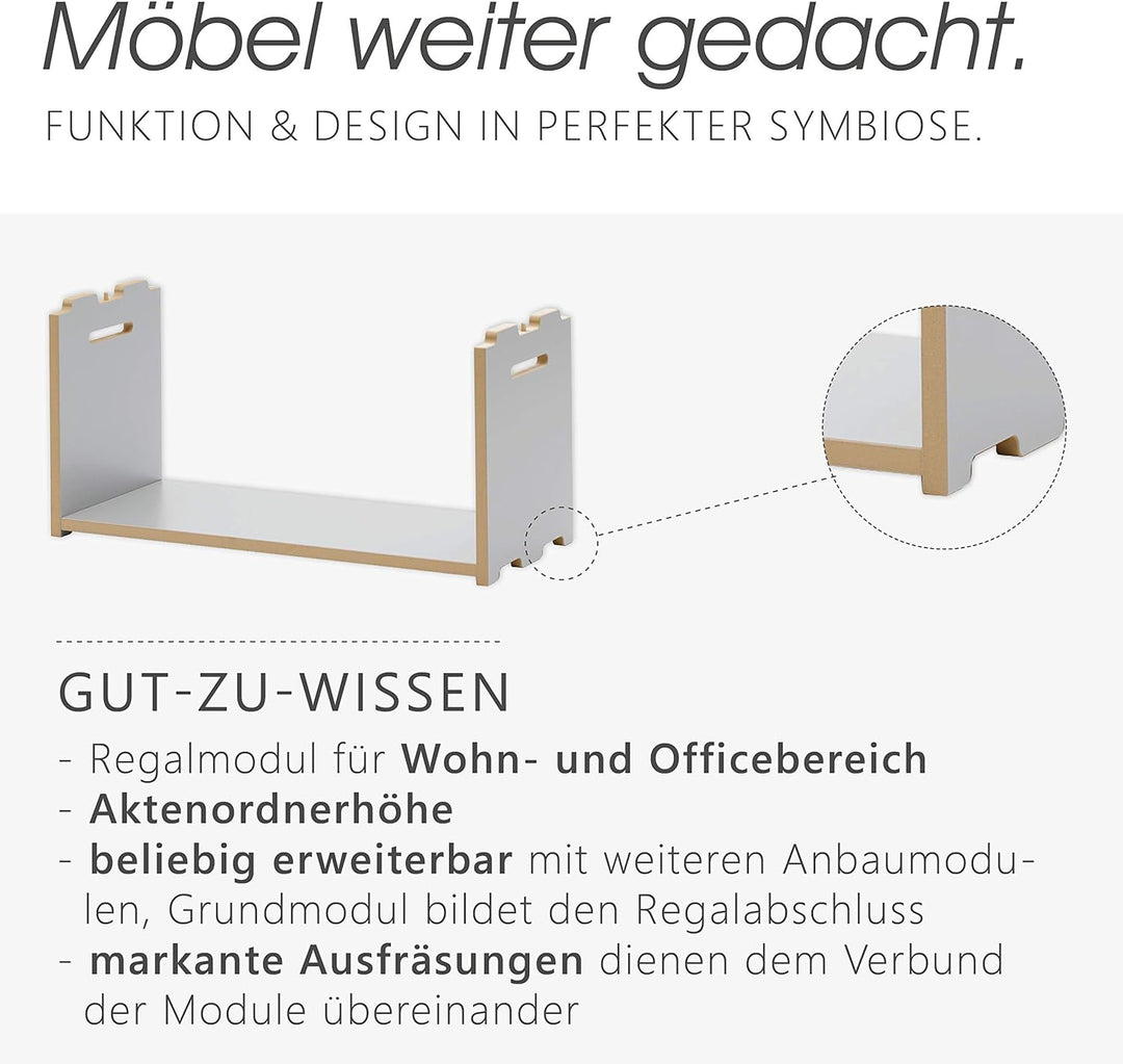 Tojo 151011049 Hochstapler - Anbaumodul für modulares Regalsystem - Silber - Grundmodul für ein indi