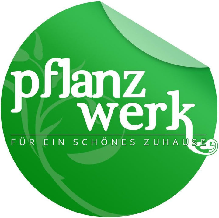 Pflanzwerk® Pflanzkübel Pflanzschale Bowl Ø 36cm Grau *Frostbeständige Blumenschale* *Premiumqualitä