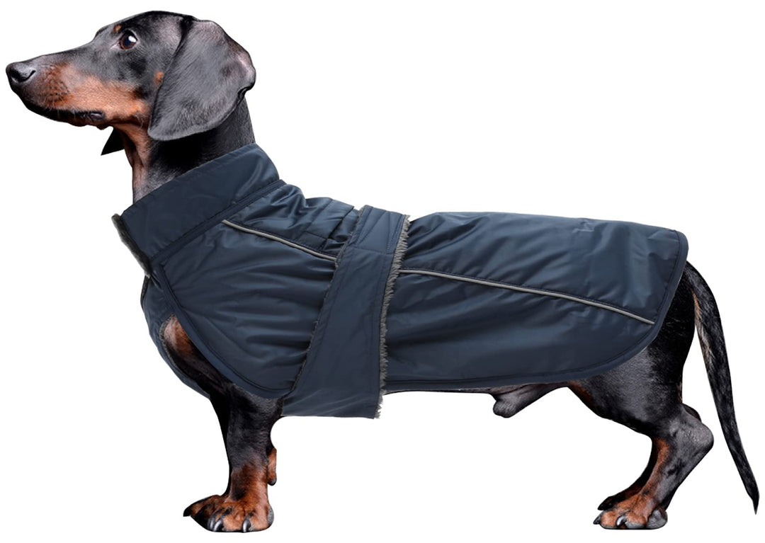MOREZI Dachshund Regenmantel, wasserdichte Aussenschicht, Fleecefutter, reflektierende Besätze, Vers