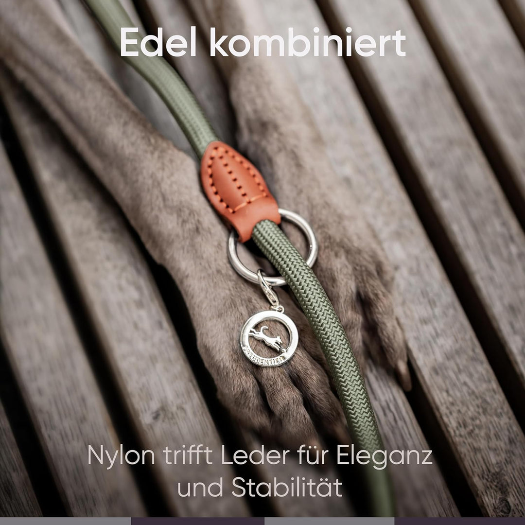 FREUDENTIER® Hundeleine 2m für mittelgrosse & grosse Hunde – 3-Fach verstellbar - Robustes Nylon abg