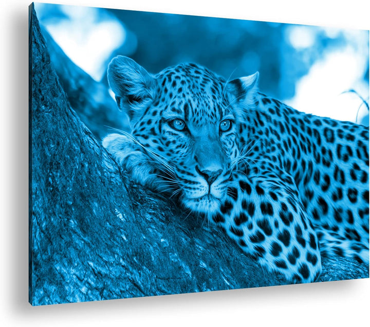 deyoli liegender Leopard Format 80x60 Effekt: Monocrome Blau als Leinwandbild, Motiv fertig gerahmt