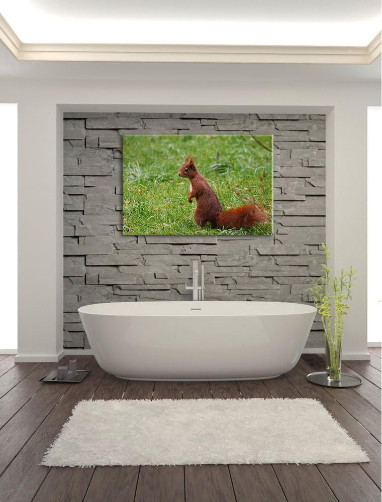 kleines Eichhörnchen auf Waldboden Leinwand, XXL riesige Bilder fertig gerahmt mit Keilrahmen, Kunst