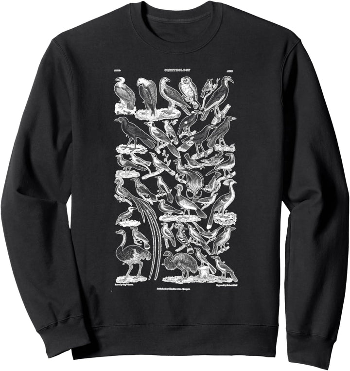 Ornithologie Vögel beobachten Eulen Adler Geier Singvögel Sweatshirt