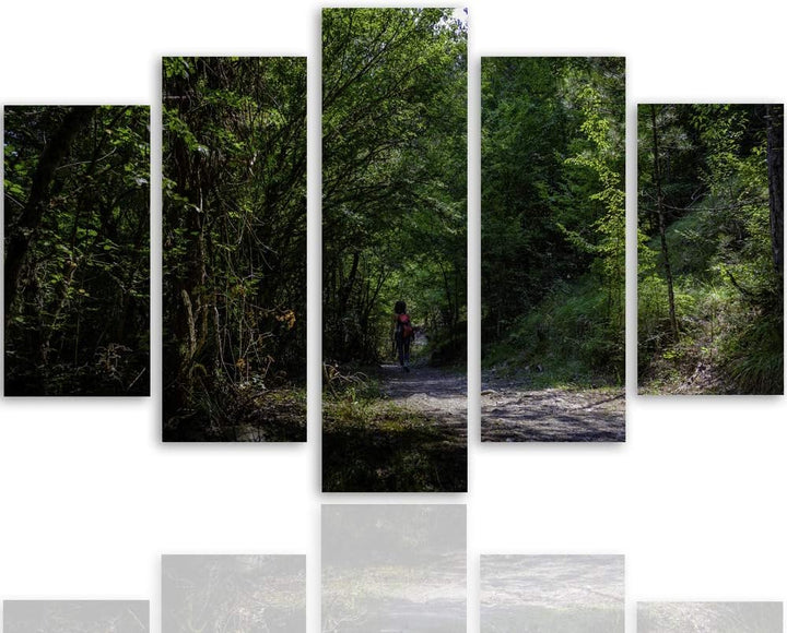 Feeby Wanddeko XXL Landschaft Leinwandbild 5 Teilig Natur Weg Bäume Wald grün 100x70 cm Leinwandbild