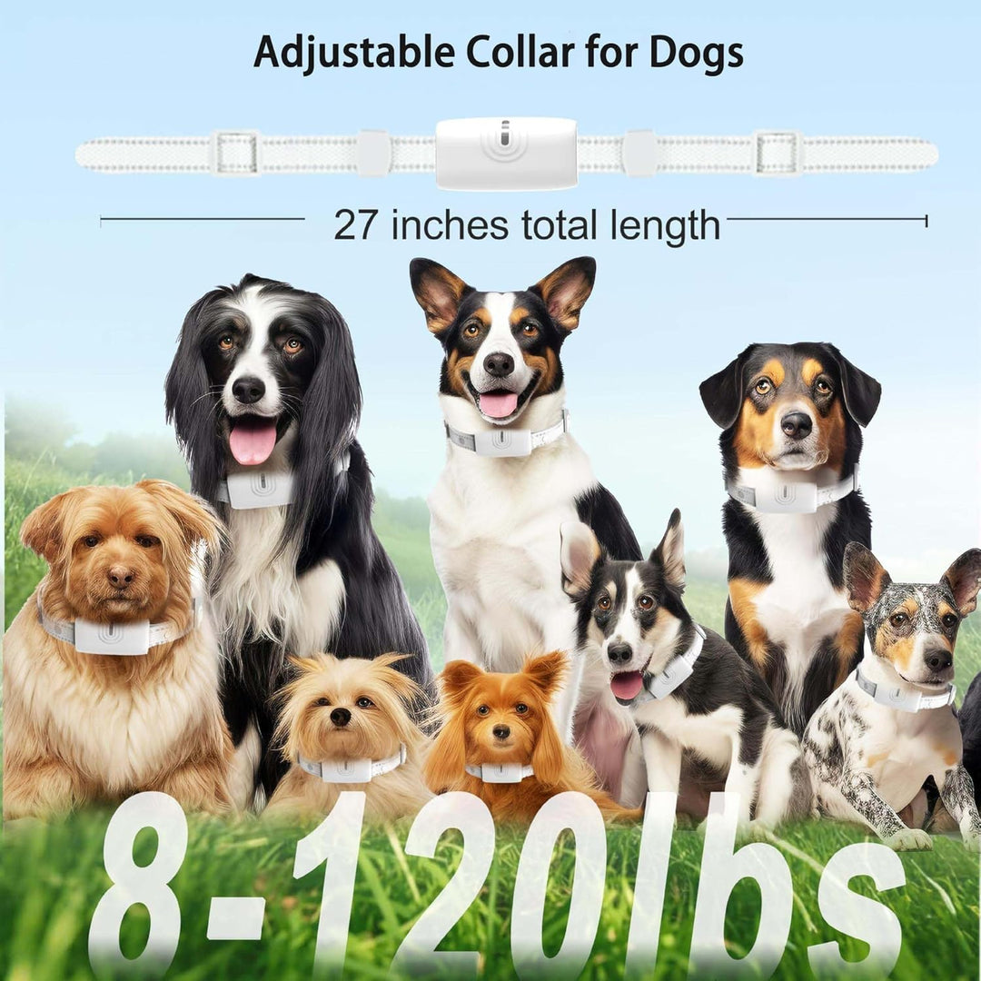 Generisch Agility-Ausrüstung,2025Erziehungshilfen,Ideal auch für Agility-Training.Praktische Hundeer