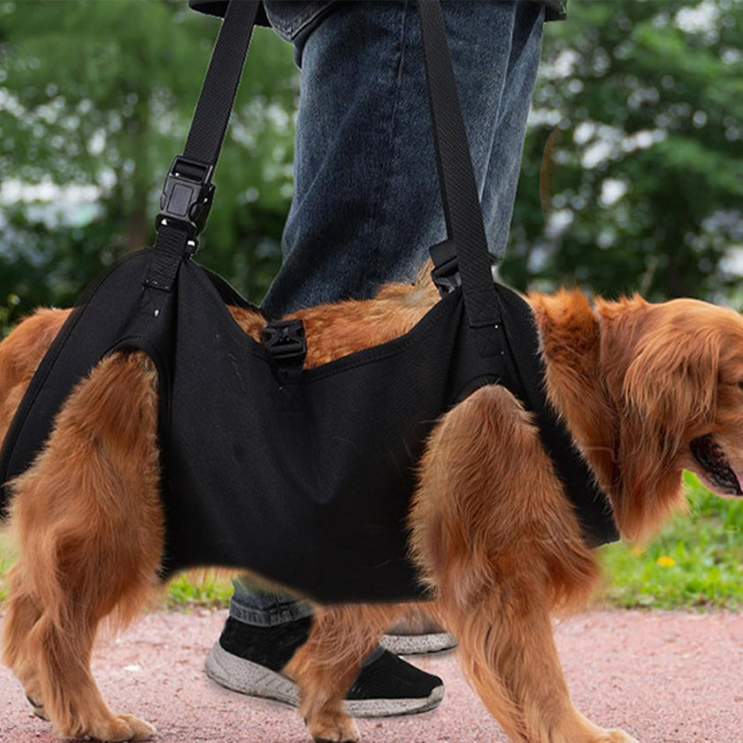 Hundetragegeschirr | Haustier-Rehabilitations-Tragegurt | Hundetragetuch | Hebegeschirr für Hunde |