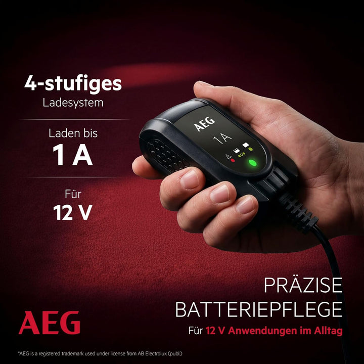 AEG Automotive 97175 Microprozessor Batteriepulser MB 1.0, 12 Volt Batterietrainer 4 stufig, Dauerer